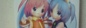vicente banner
