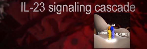 mnnavarro_lab Profile Banner