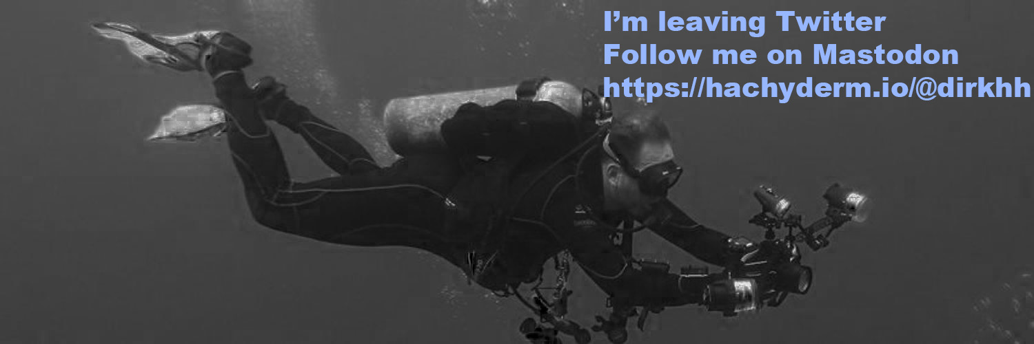 Byebye Fowl Site banner