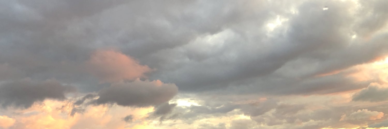 Nuvaringtoss's profile banner image