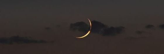 ✧*̥˚ 𝐒 𝐄 𝐈 𝐑 *̥˚✧ banner