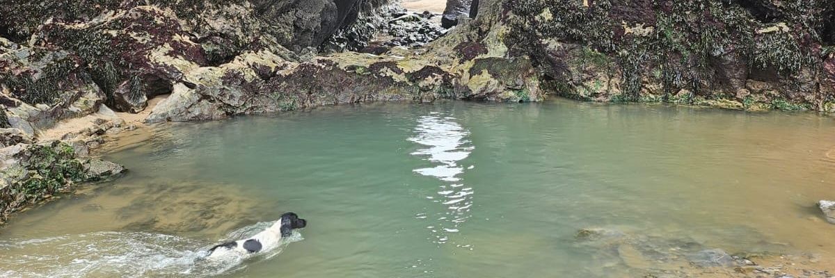 sleepz_ banner