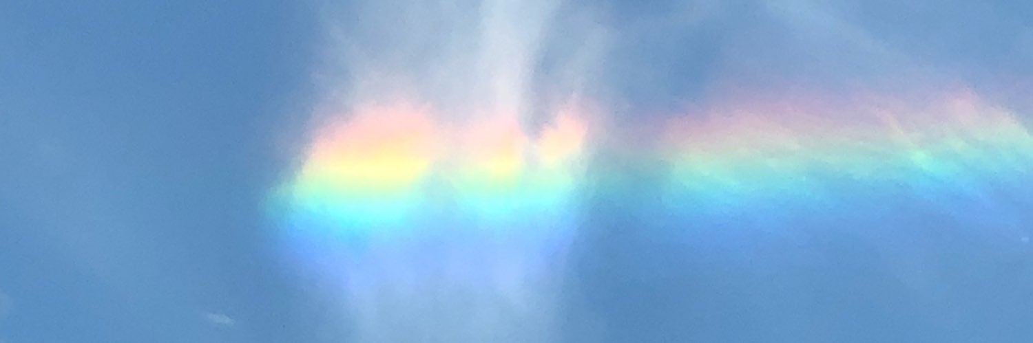 Miss FiFí 🧙🏼‍♀️🐶 banner