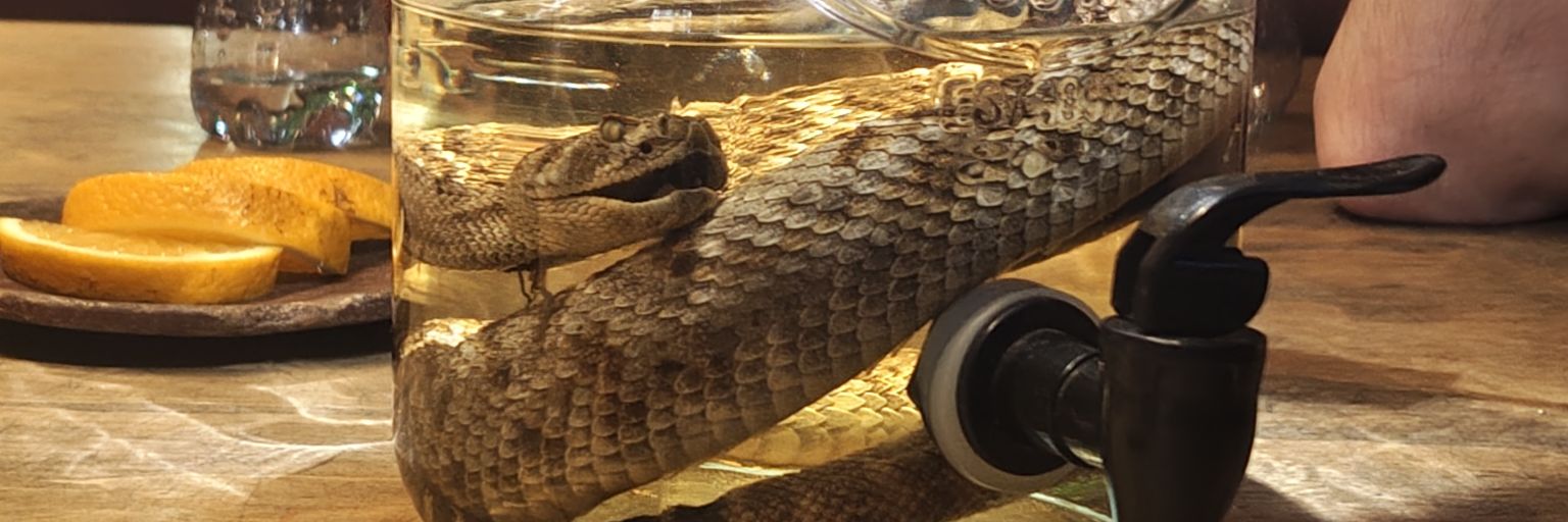 Mostly Peaceful Black Swan banner