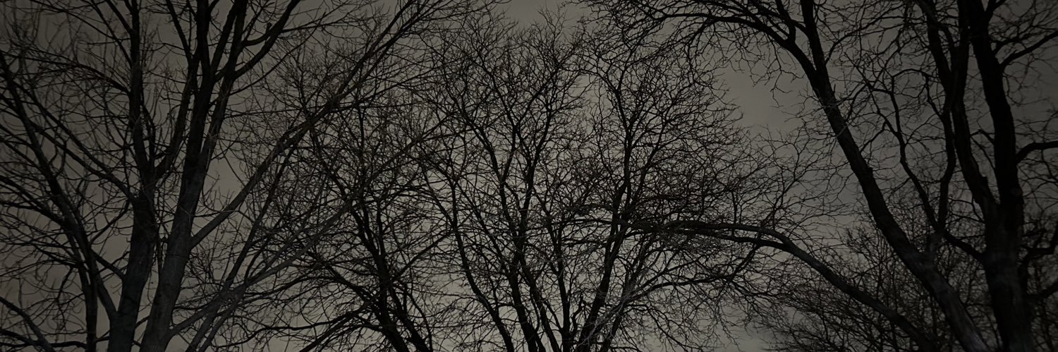 ✧･ﾟ: * star *:･ﾟ✧ banner