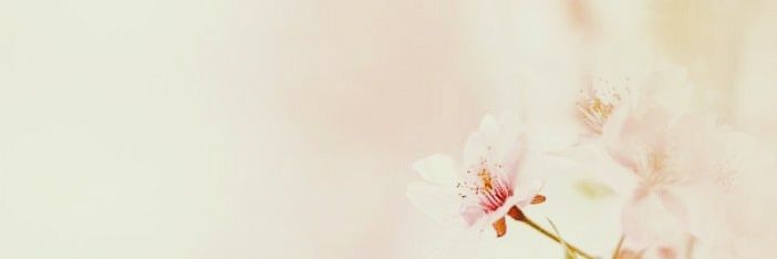 halbertinelle's profile banner image