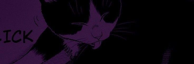 Bo 𓆩♡𓆪 banner