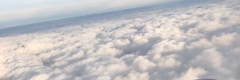 treebeexo's profile banner image
