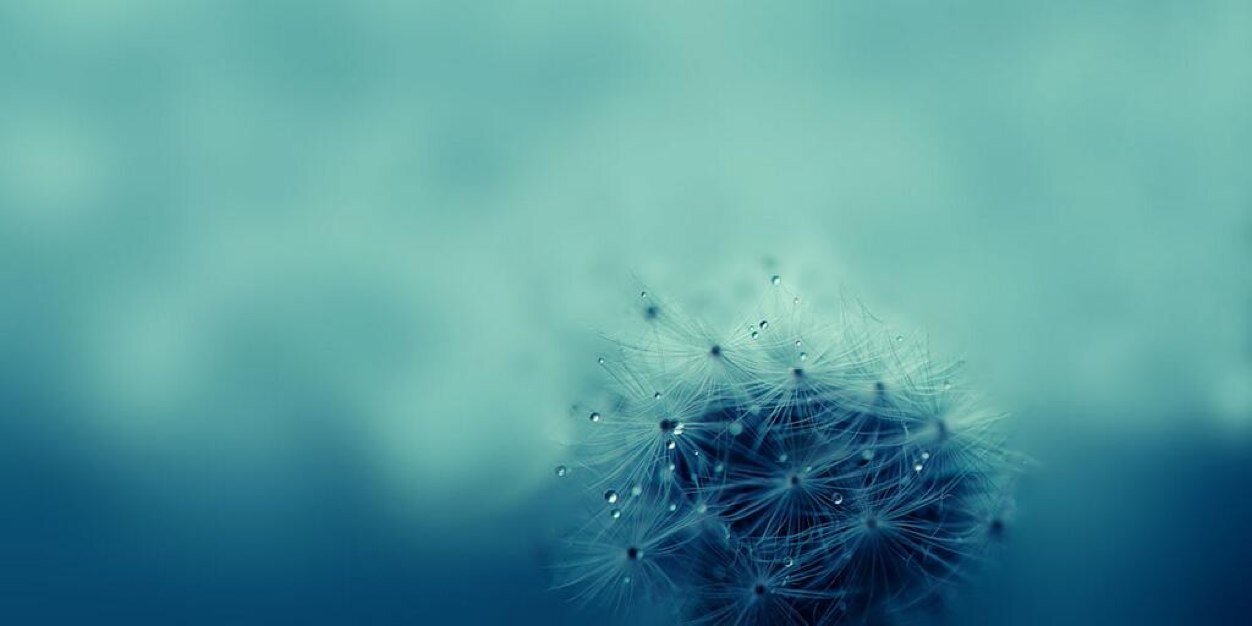 Palmiizinc's profile banner image