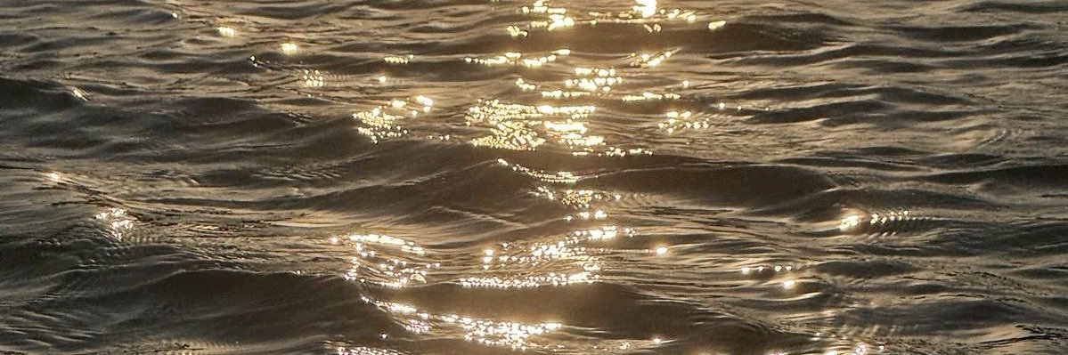 FerEscobar01's profile banner image