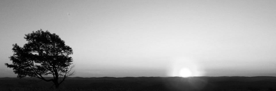 DJ ✝️🇺🇸 banner