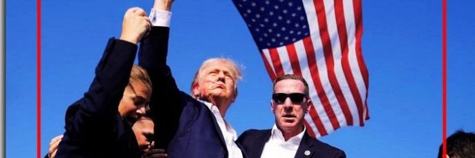 Debi-TRUMP 2024🚫DON'T DM ME, U WILL BE BLOCKED!!! banner