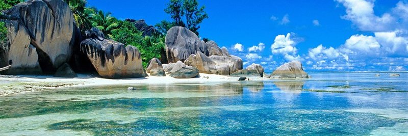 Cameron Costello banner