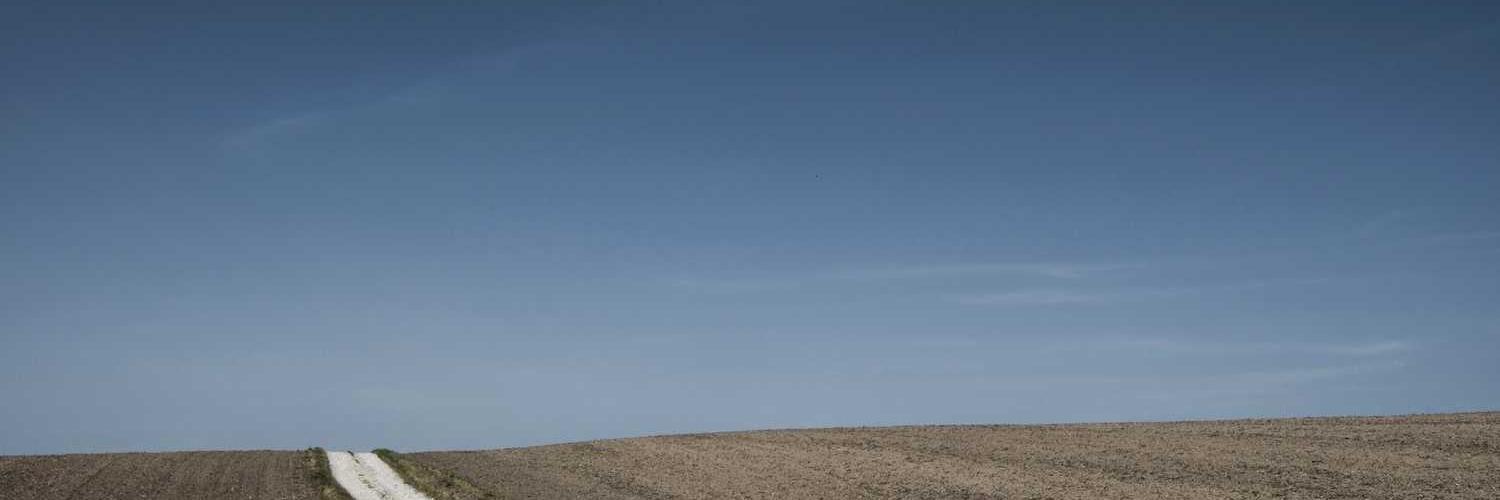 Kertas gorengan❤️ Memecoin banner