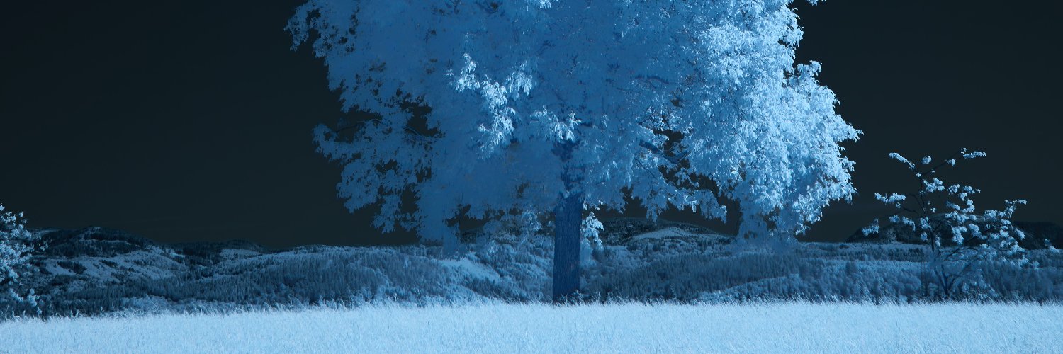 NeilHolyo's profile banner image