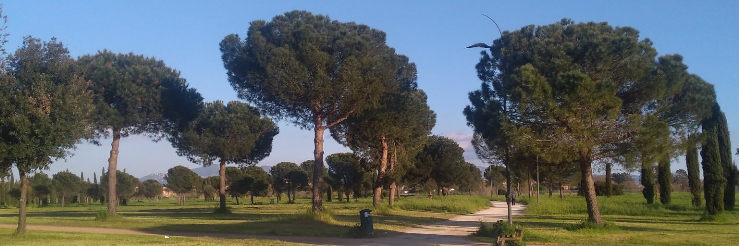 AntPrivitera's profile banner image