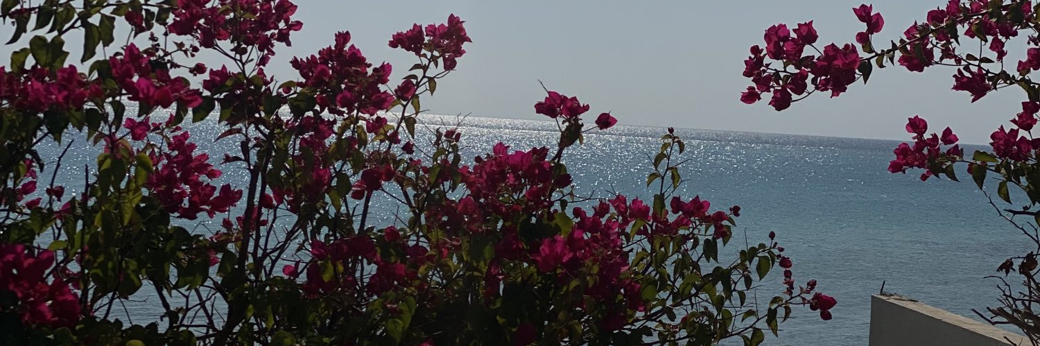 🐦‍🔥🇸🇦 هوازن banner