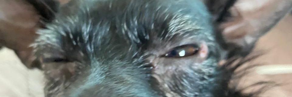 luisrent5's profile banner image
