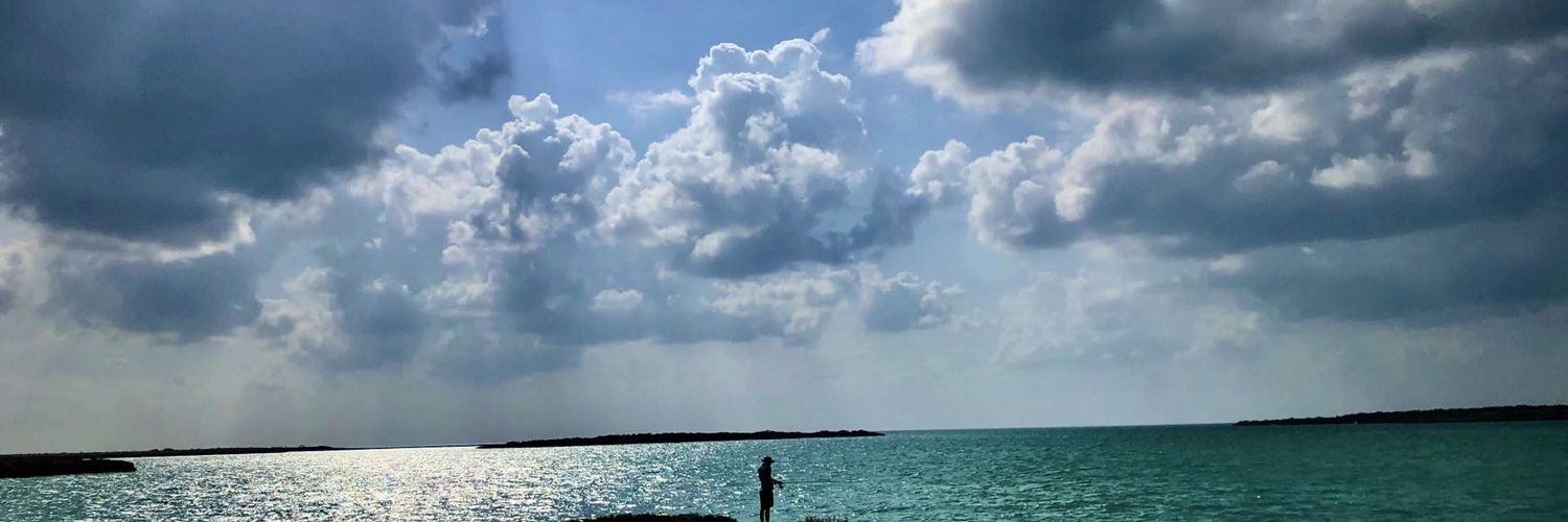 Zhaobin8888's profile banner image