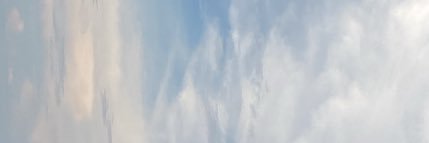 tyler¥ banner