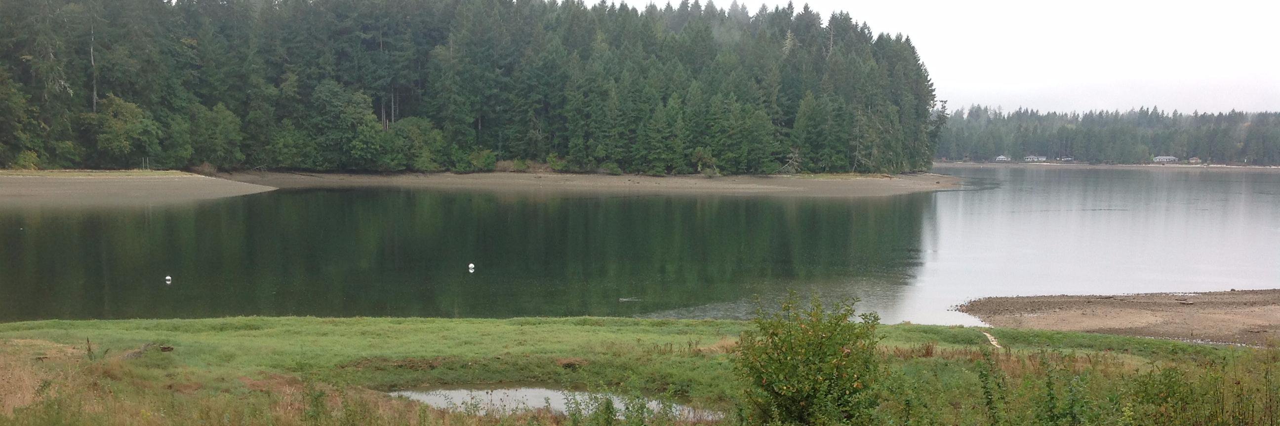 Vote Democracy Biden/Harris. End Gun Violence banner