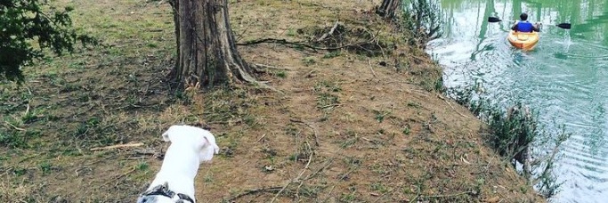 Atlantis is found banner