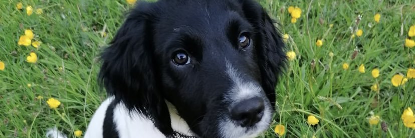 lucyj27's profile banner image