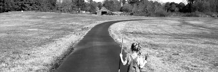 Political Nomad banner