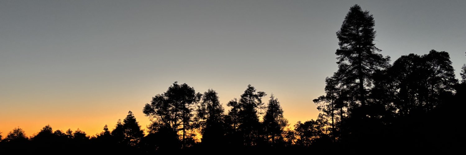 ocamposd_'s profile banner image
