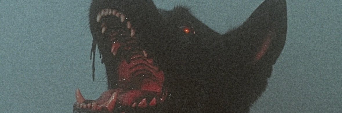 aidanhallah's profile banner image