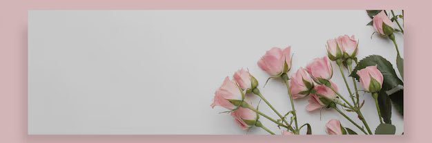 nikadibahnm's profile banner image