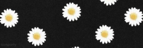 R0SSMYBABY's profile banner image