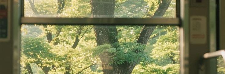 anasjaok's profile banner image