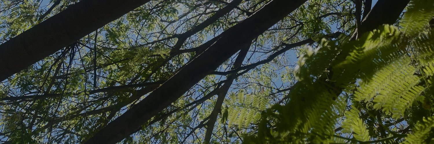 JimeGoga's profile banner image
