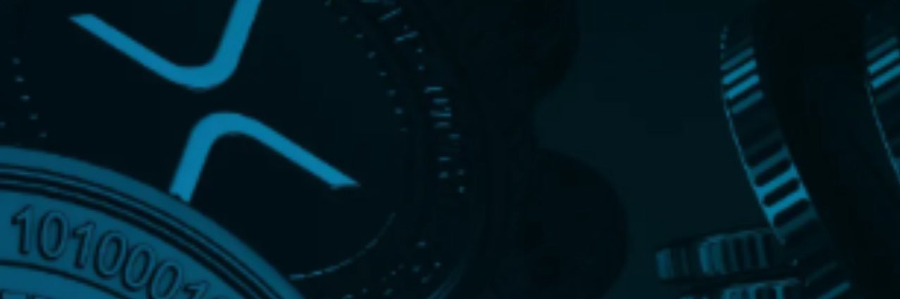 timothydibella's profile banner image