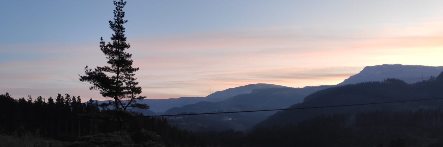 amaiurarbe's profile banner image
