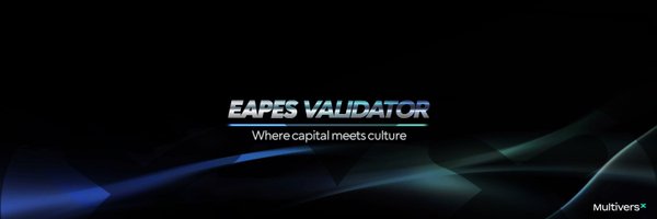 eapesvalidator Profile Banner
