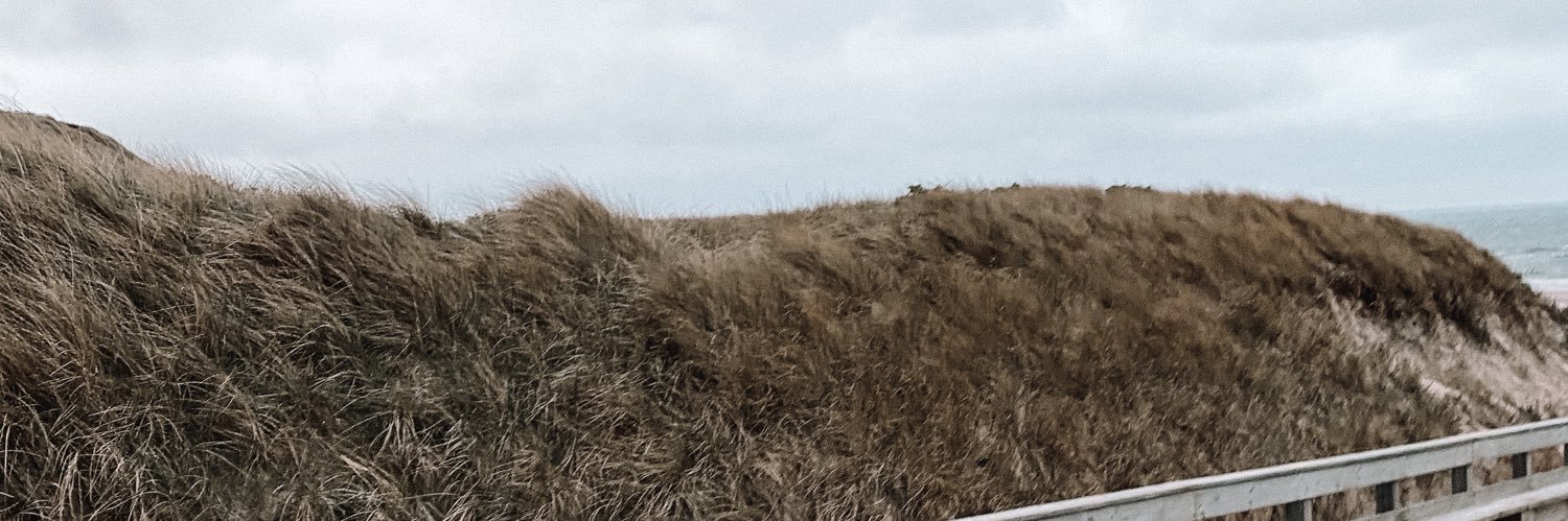 illicitlaur's profile banner image