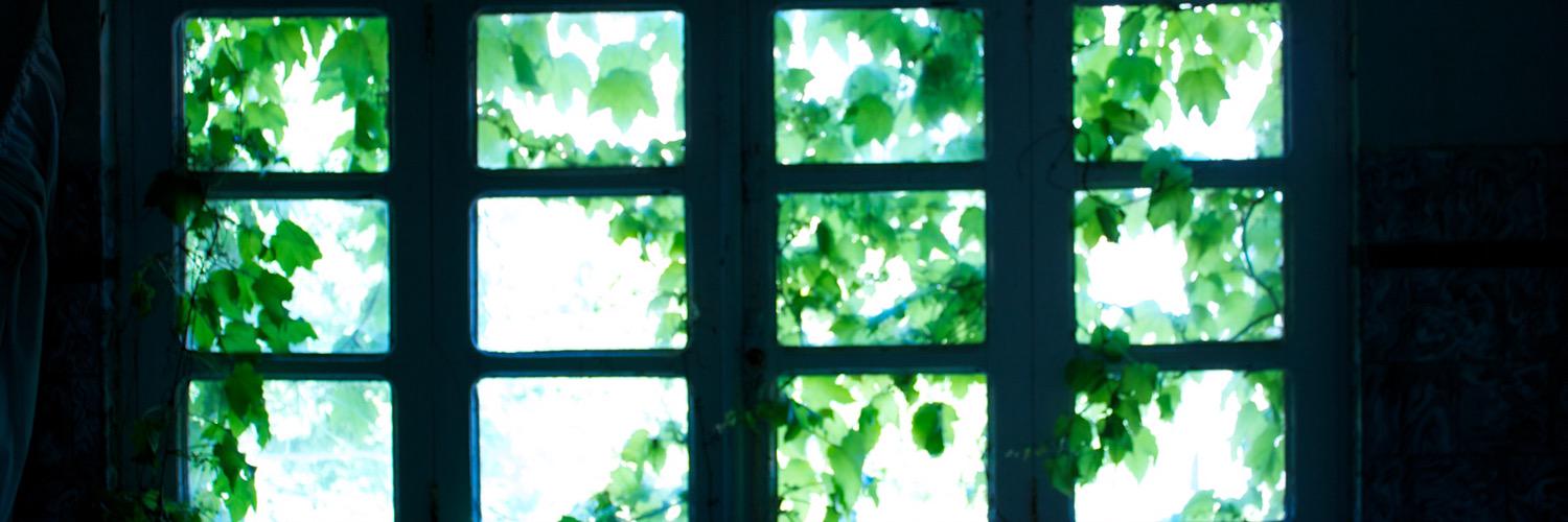 ferlaleston's profile banner image