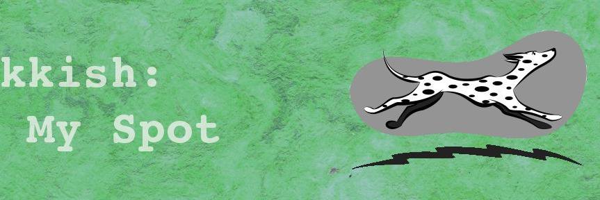 kkish's profile banner image