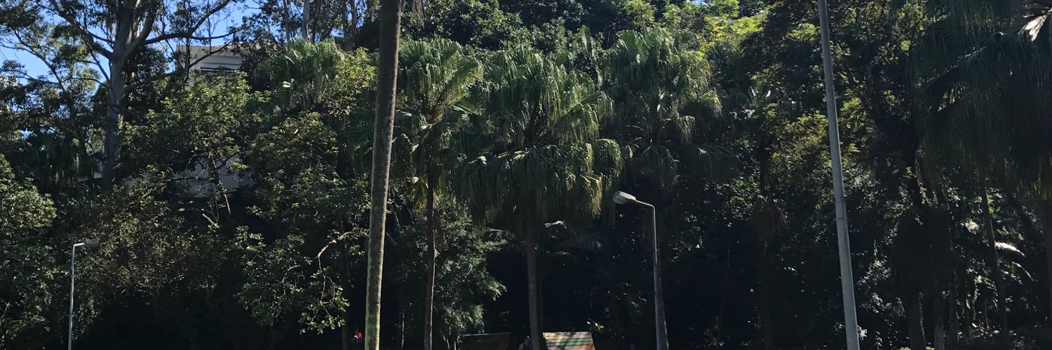 serribeiro's profile banner image