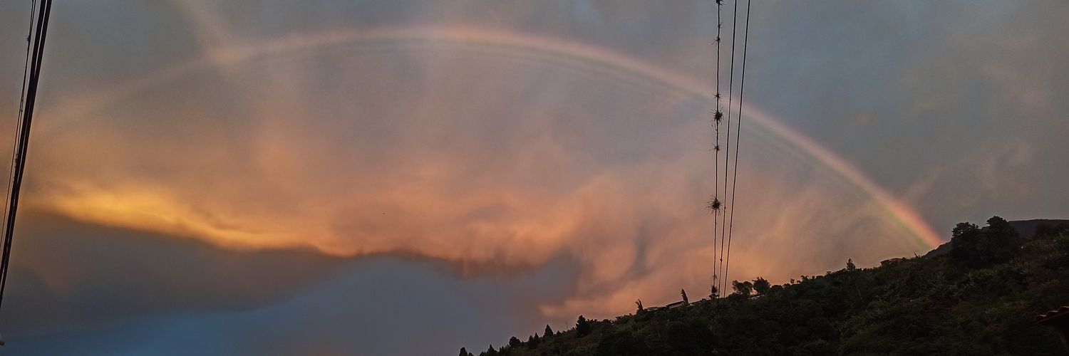 Susanajnv's profile banner image
