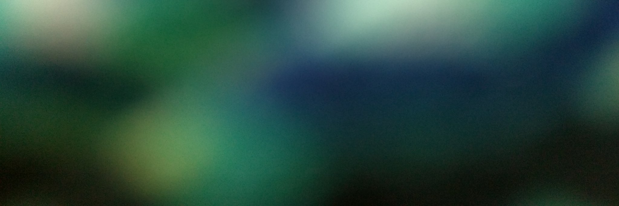seashelllz's profile banner image