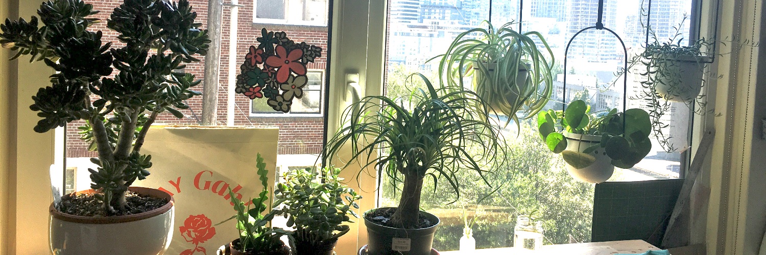 jenncampbell's profile banner image