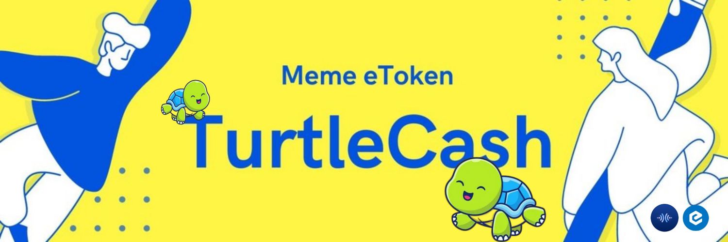 TurtleCash banner