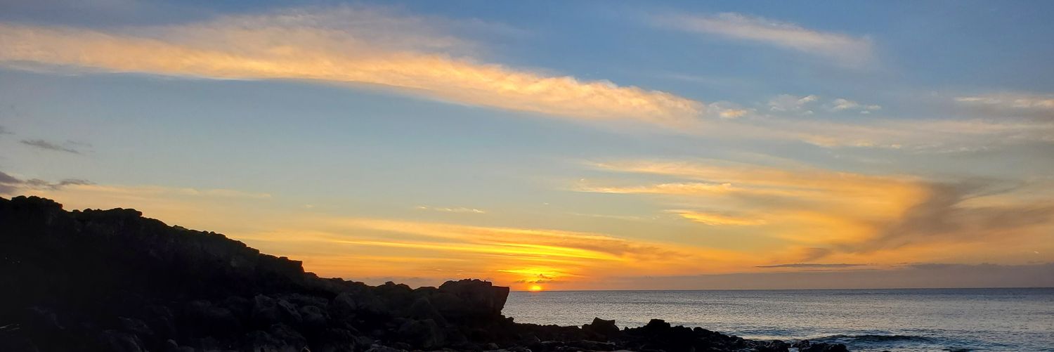 jillxleigh's profile banner image