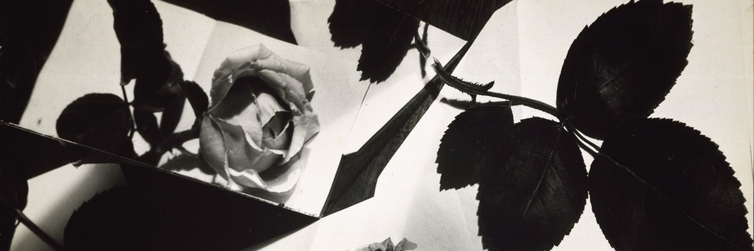 LydiaRFiges's profile banner image