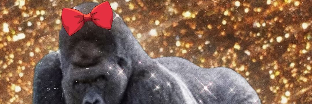 もっち🦍🎀 banner
