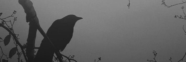 0xKimCNETH's profile banner image