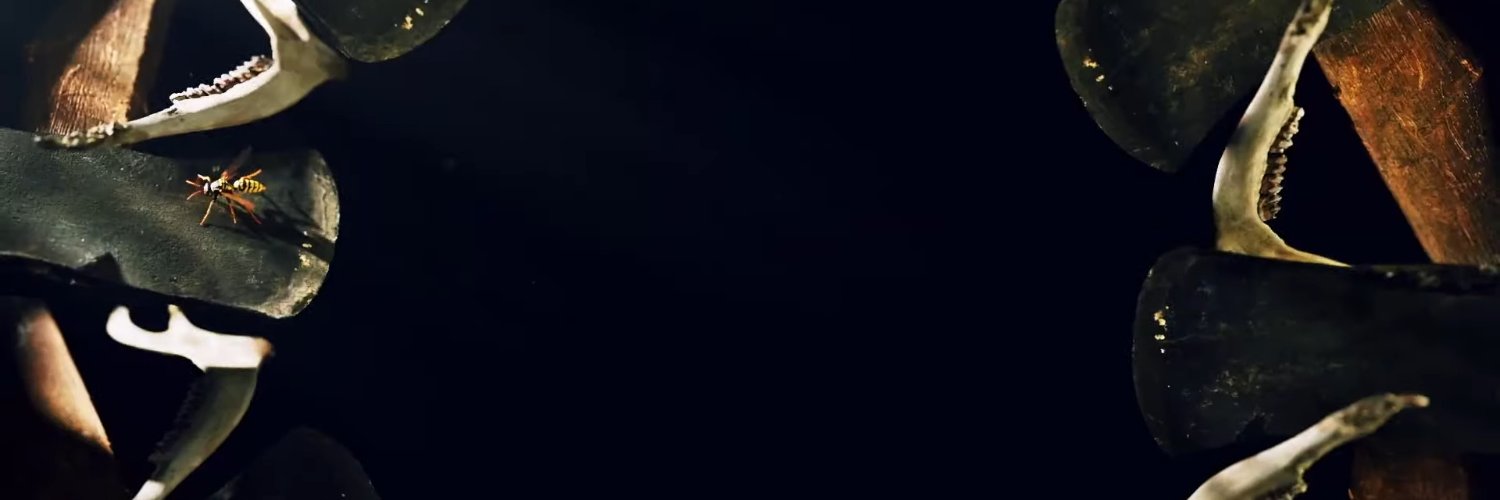 daily misty quigley's banner